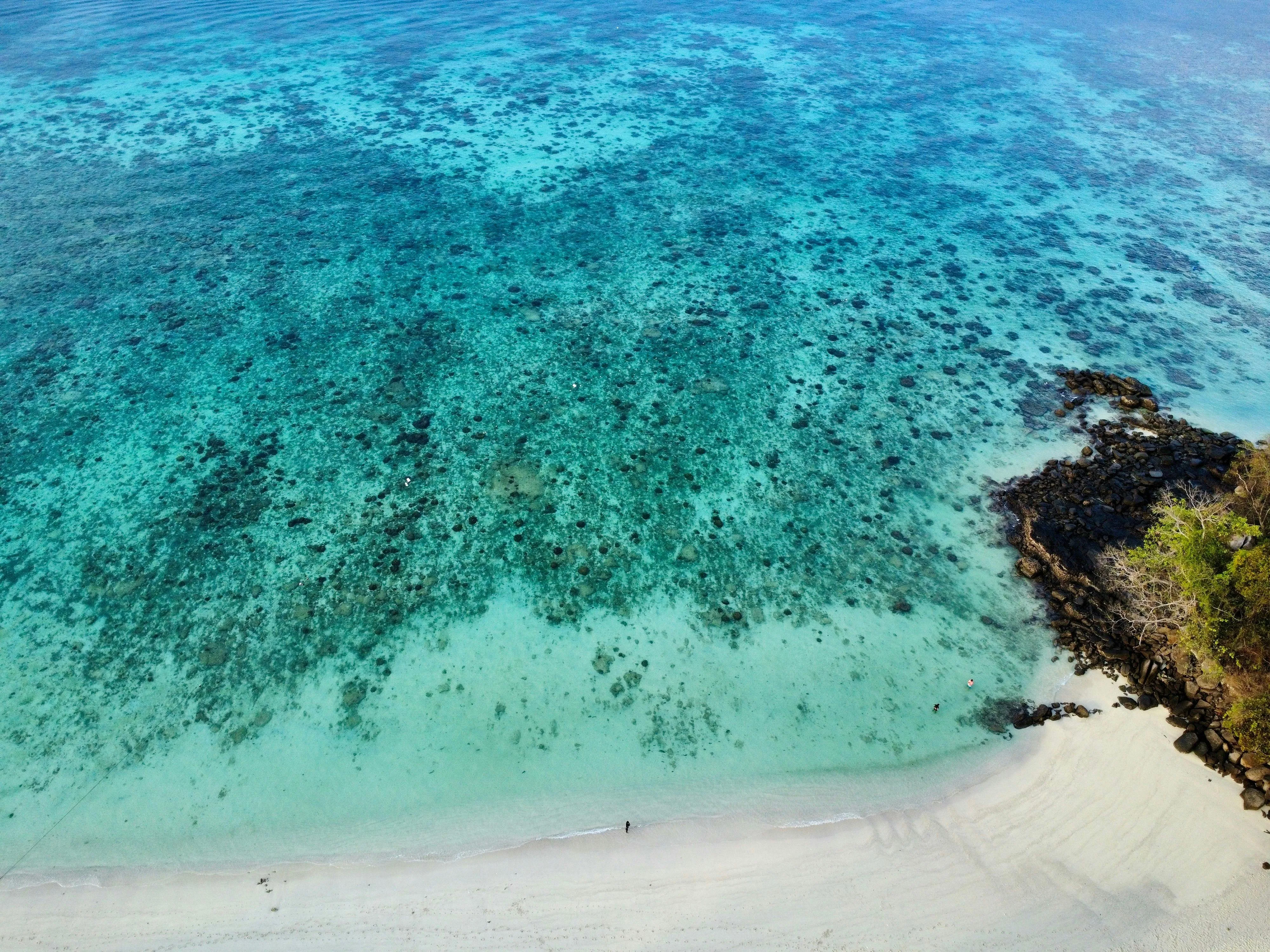 Stunning Clear Blue Water and Coral Near the Beach Edge