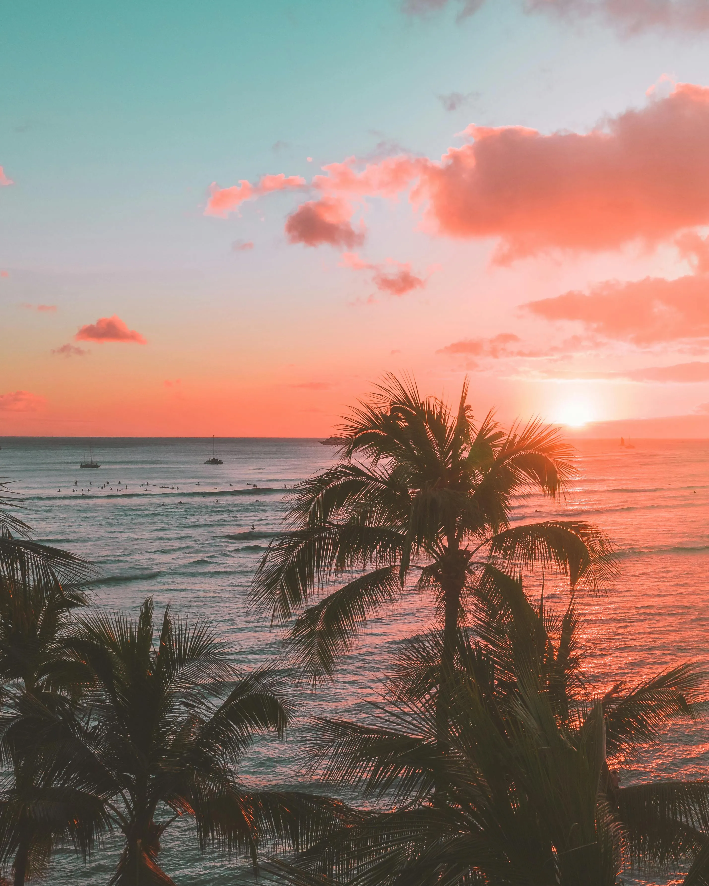 Stunning Sunset View Behind Palm Trees over the Ocean