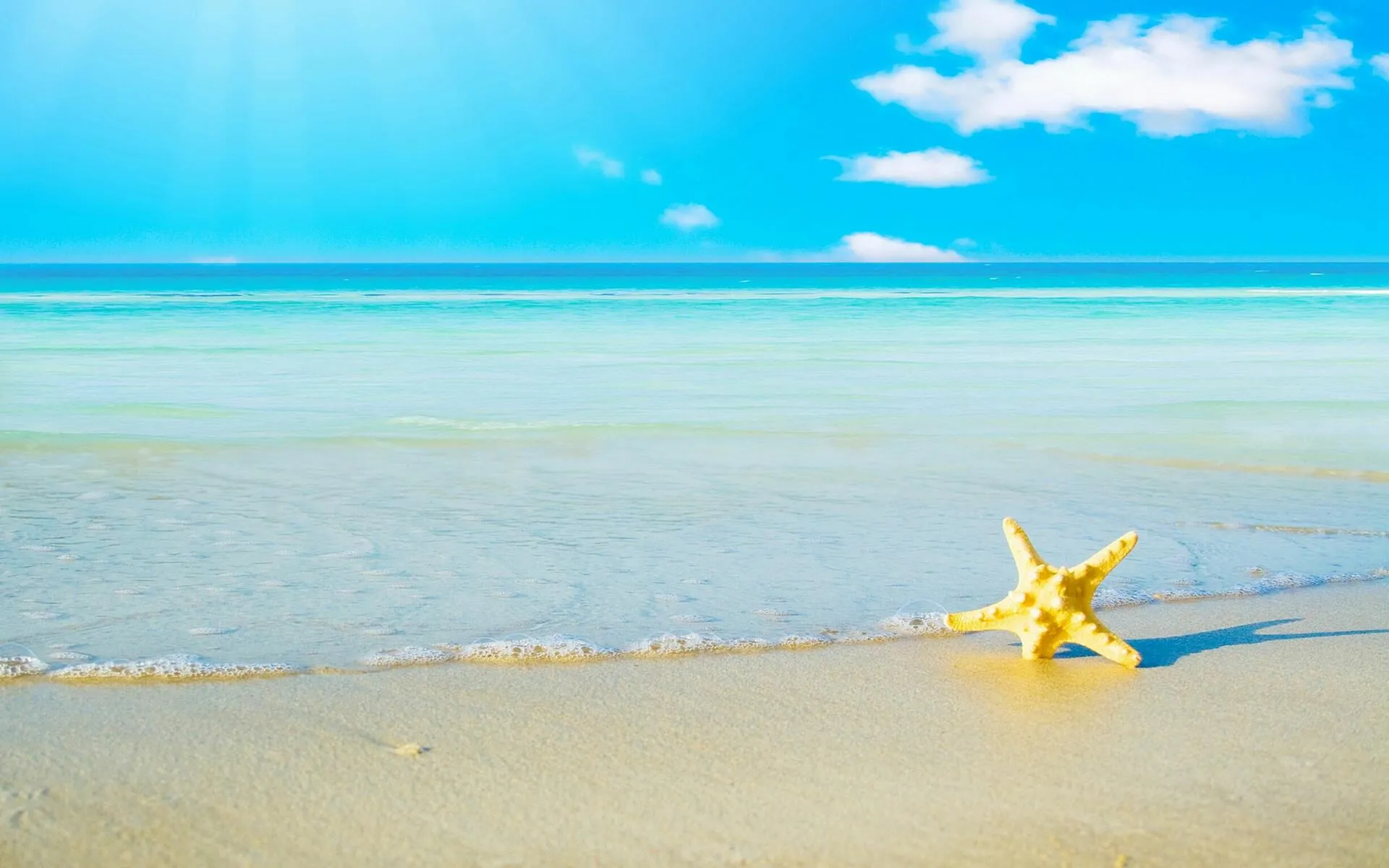 Sunlight Shining on a Clear Beach with Starfish in the Sand