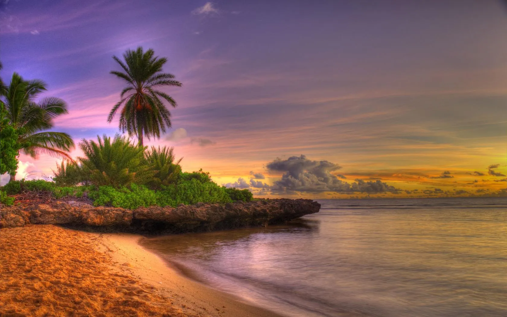 Sunset at a Tropical Beach with Coconut Trees Free Wallpaper