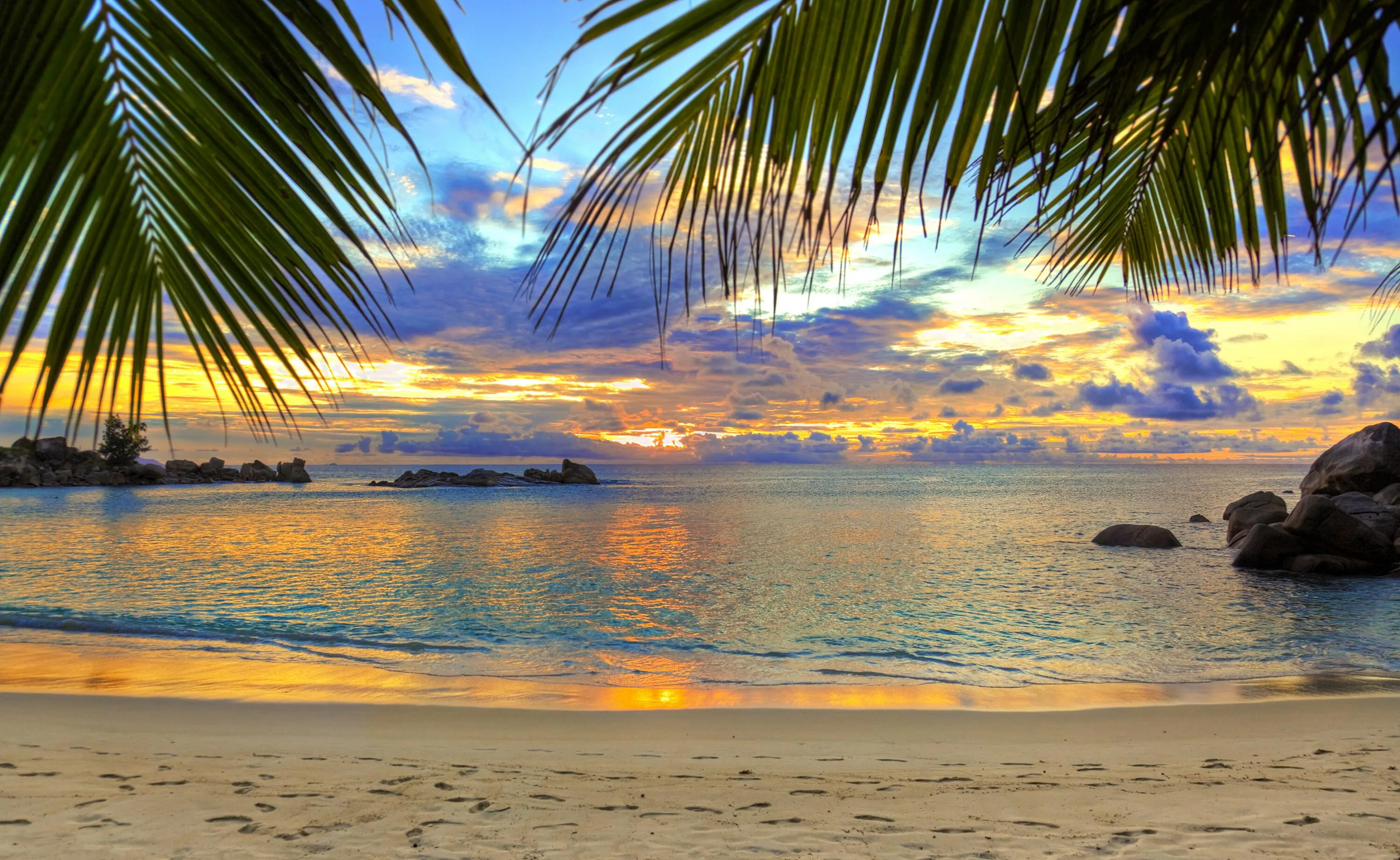 Sunset Beach with Palm Leaves Framing a Colorful Cloudy Sky