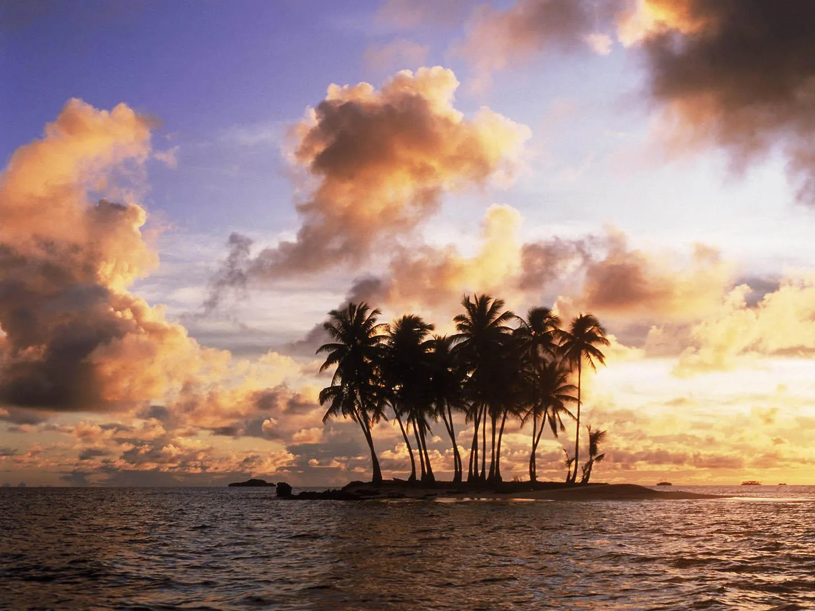 Sunset Glow Behind Island Palms over Peaceful Ocean