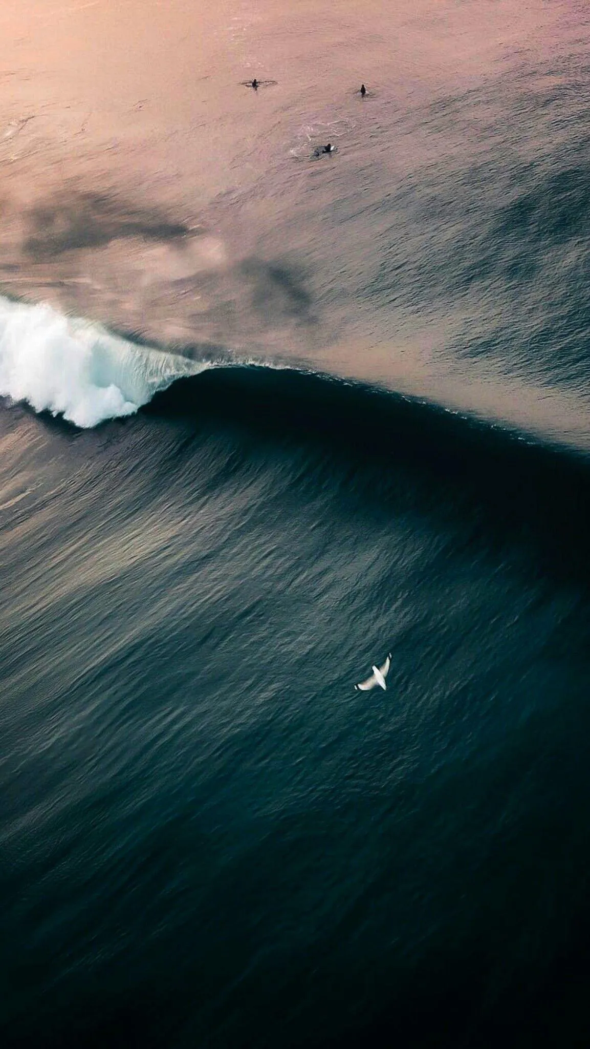 Surfer Riding a Large Wave in Deep Dark Blue Ocean Water