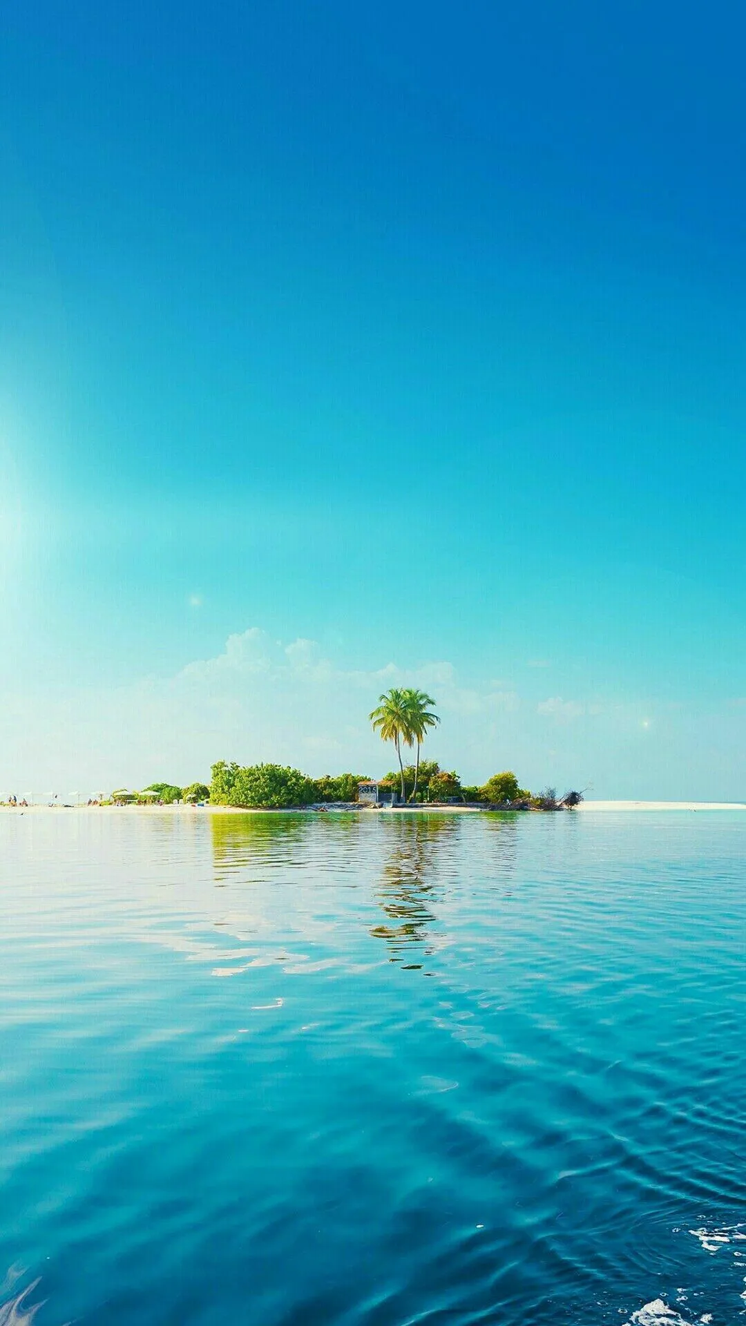 Tiny Island with One Palm Tree Floating in Calm Ocean