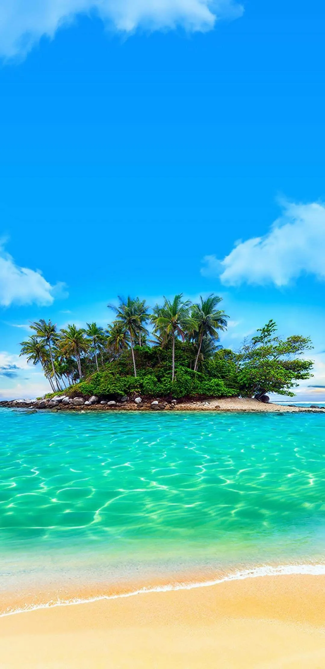 Tiny Island with Palm Trees in the Beach Portrait Wallpaper