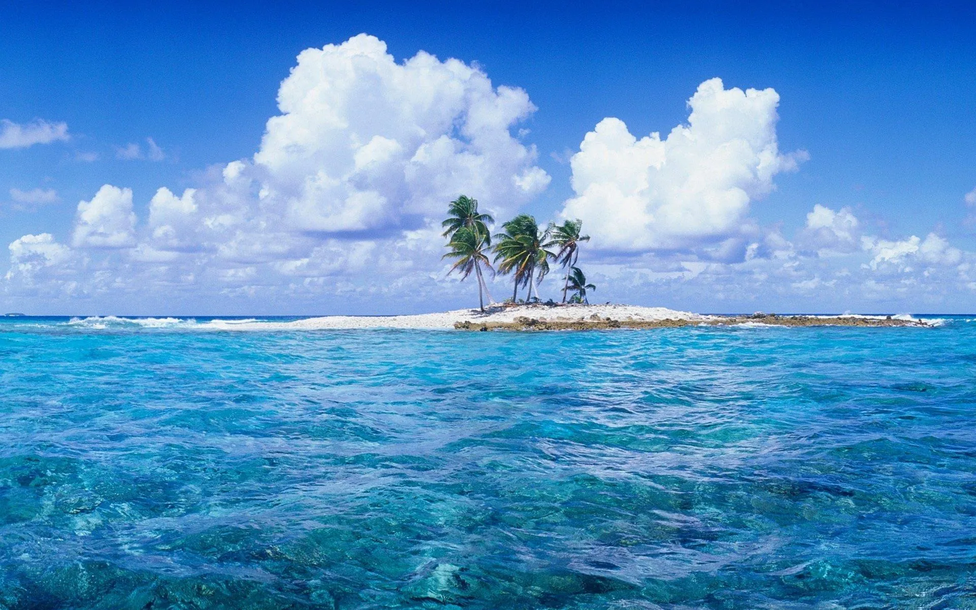 Tiny Island with Palm Trees Download Free Wallpaper