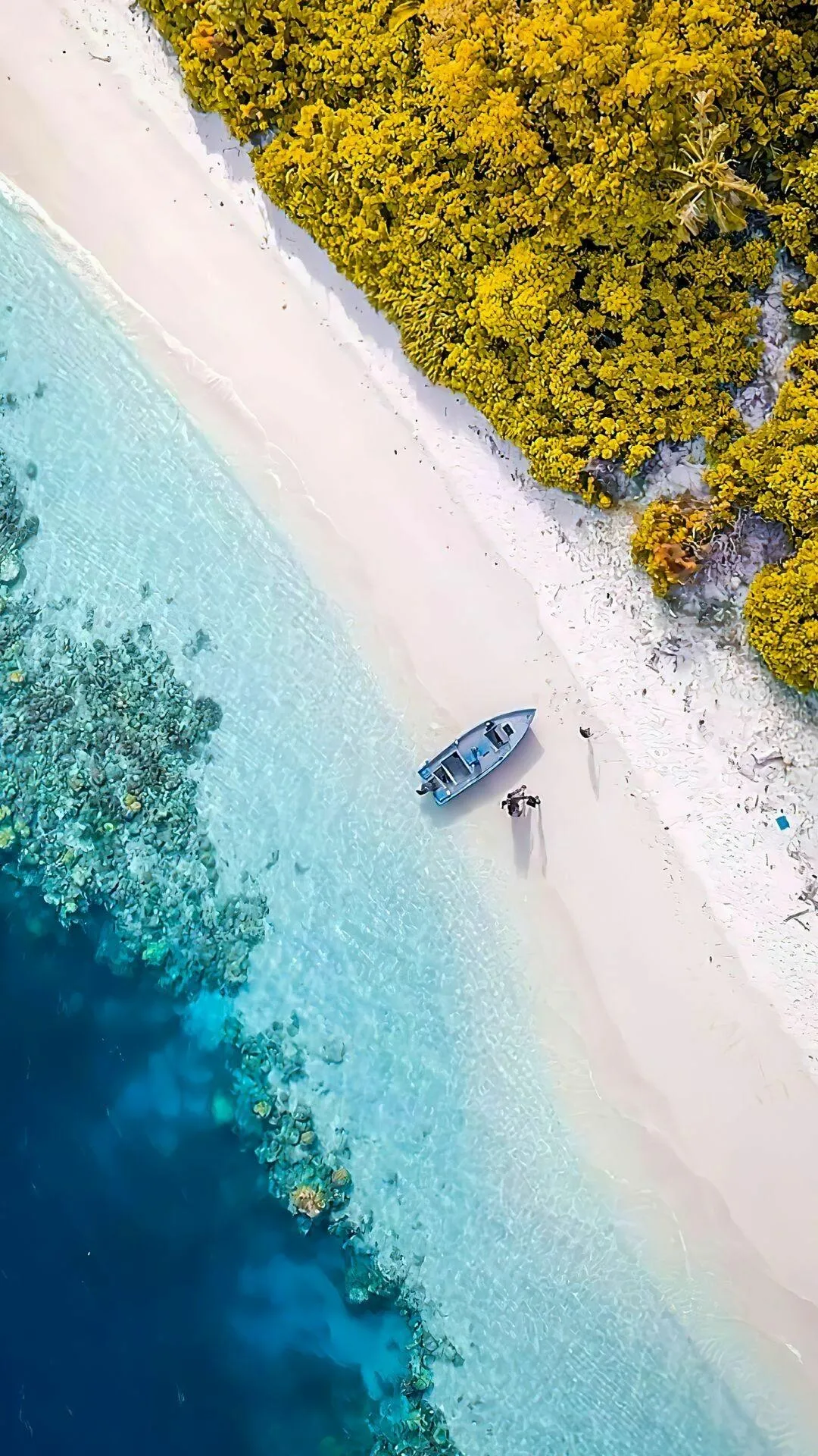 Top View of Boat on Turquoise Water Near Beach Wallpaper