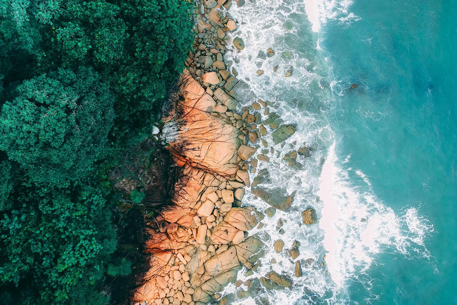 Top View of a Forest Meeting a Rocky Beach and Blue Waves