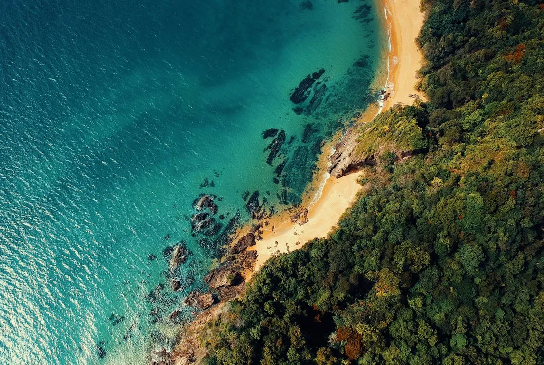 Top View of Lush Coastline Meeting Blue Ocean HD Wallpaper