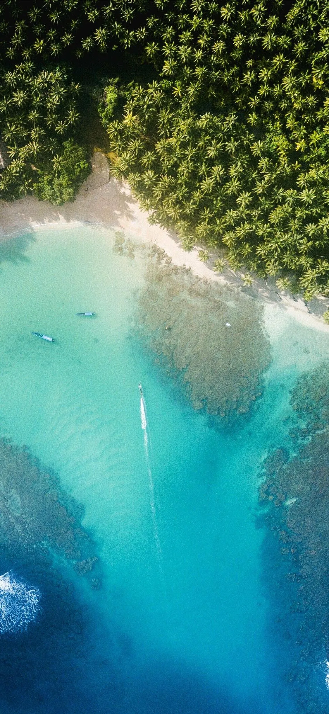 Top View of Narrow Beach Path Through Lush Green Forest