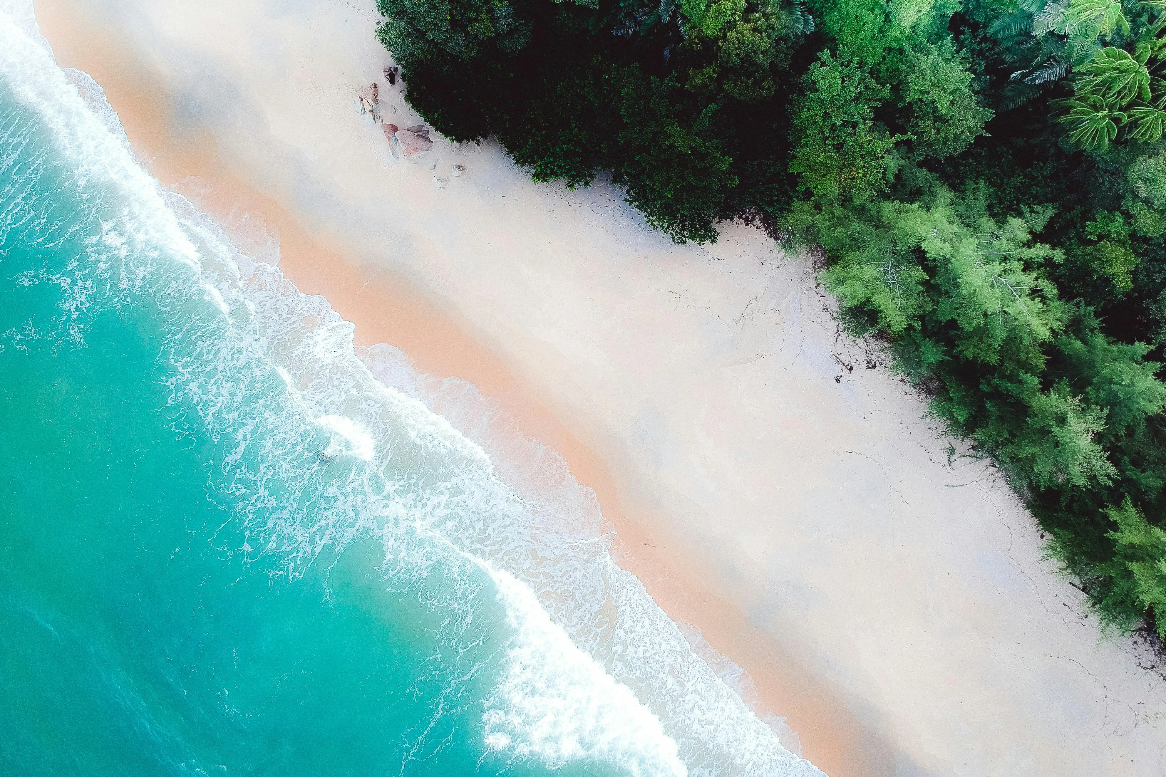 Top View of a Sandy Beach with Green Forest Edge Wallpaper
