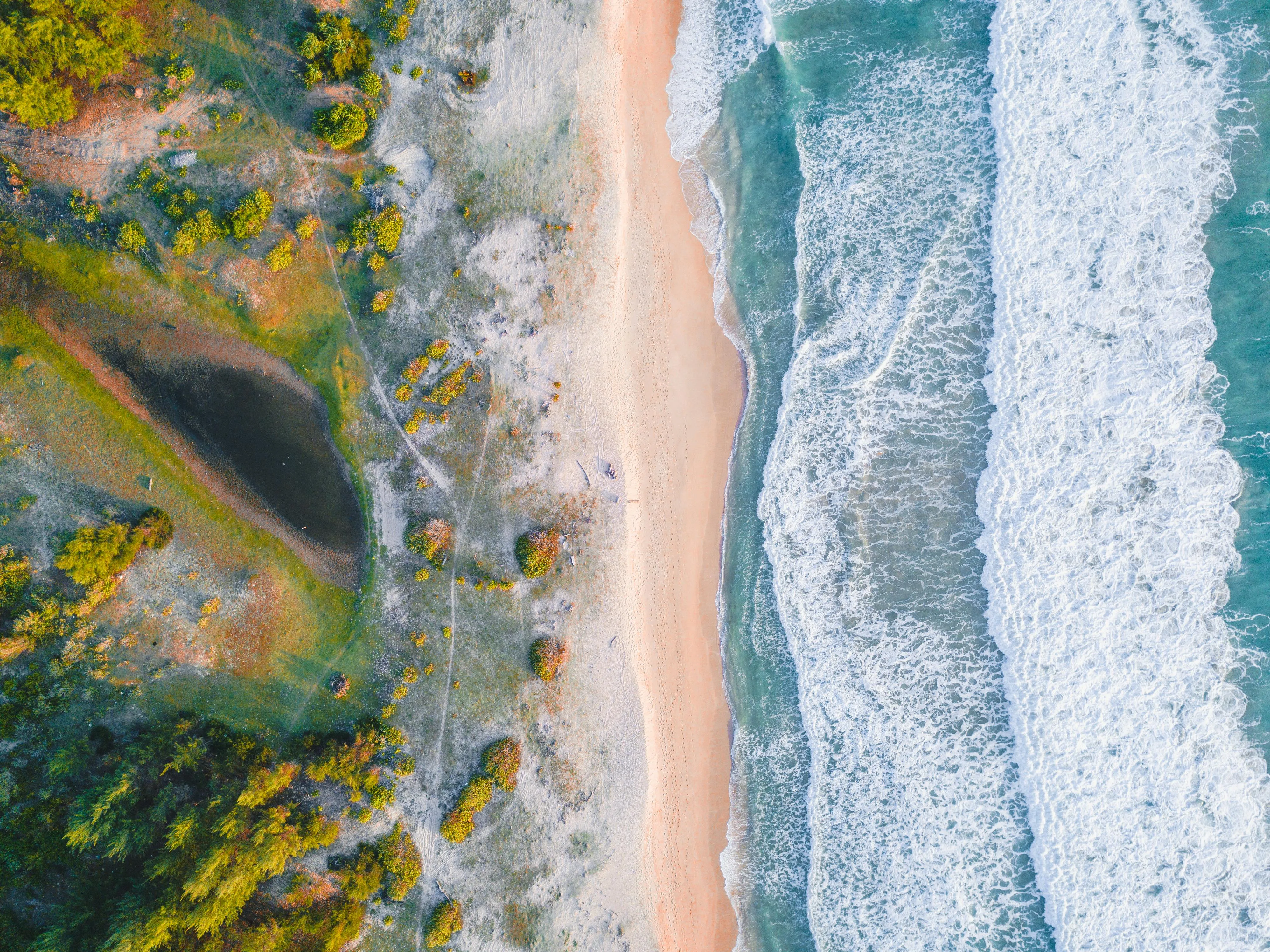 Top View of Sandy Beach Waves Crashing on Lush Green Trees