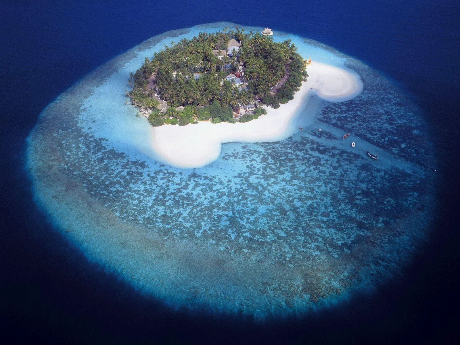 Top View of a Small Round Island with White Sandy Edges