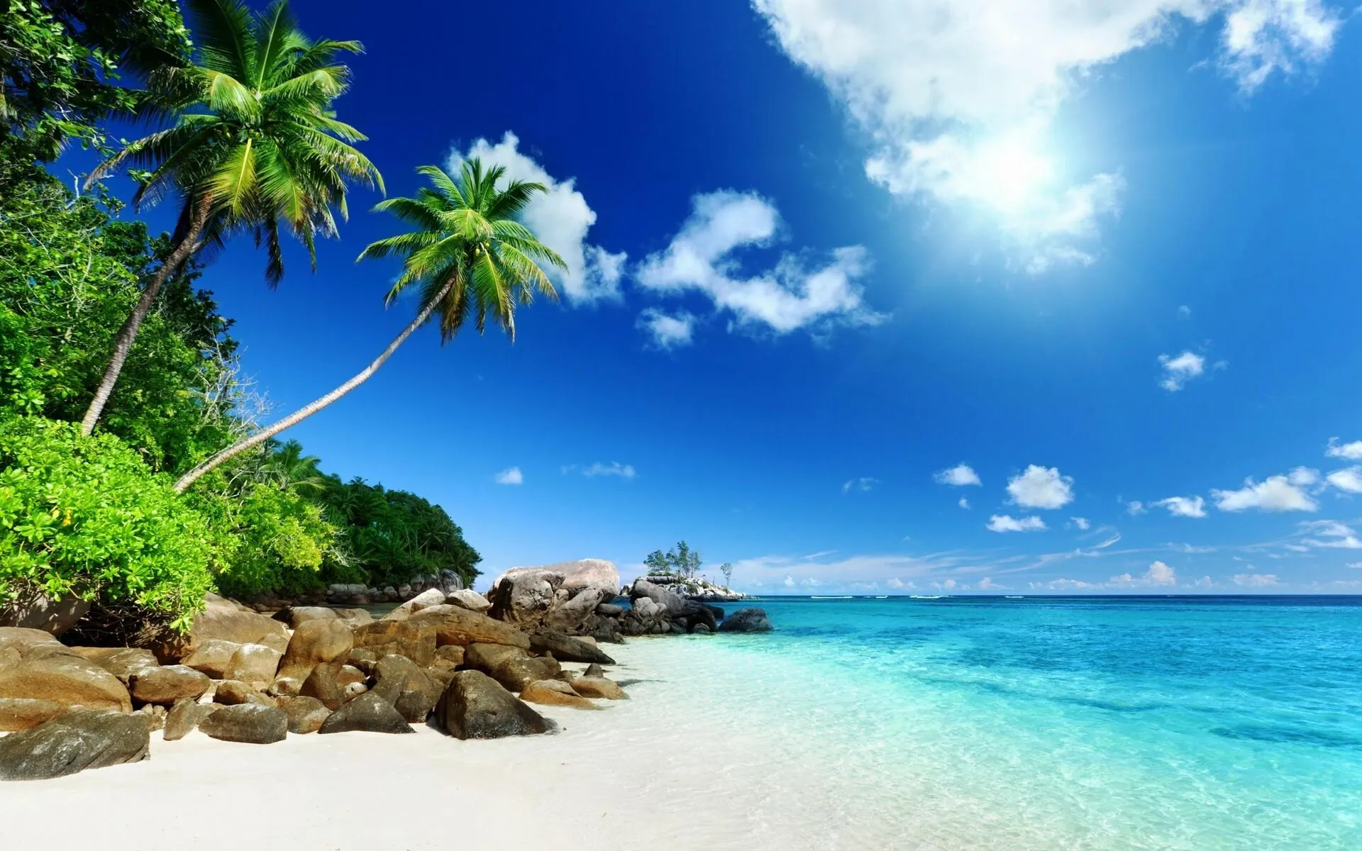 Tropical Beach with Clear Sky and Palm Trees Free Wallpaper
