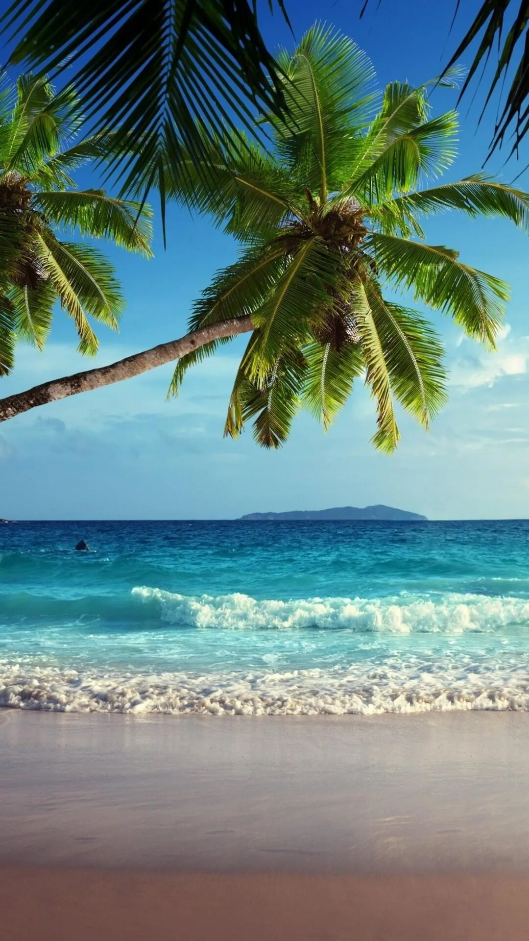 Tropical Beach Framed by Palm Trees Download Free Wallpaper