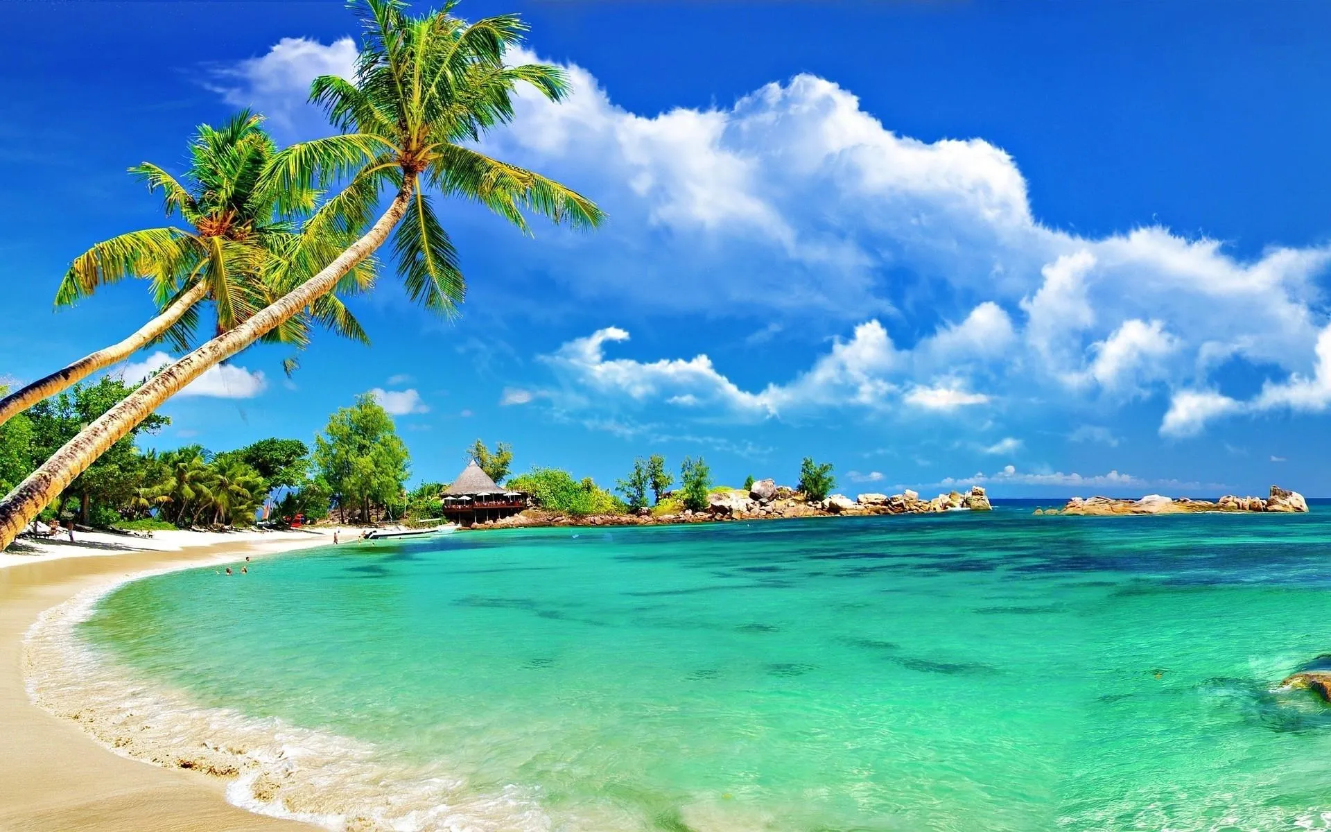 Tropical Beach with Palm Trees and Bright Clear Green Sea