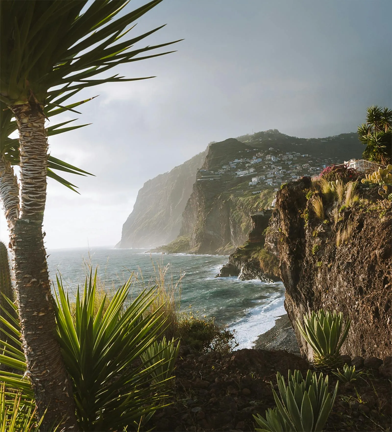 Tropical Coast with Cliffs and Palm Leaves Free Wallpaper