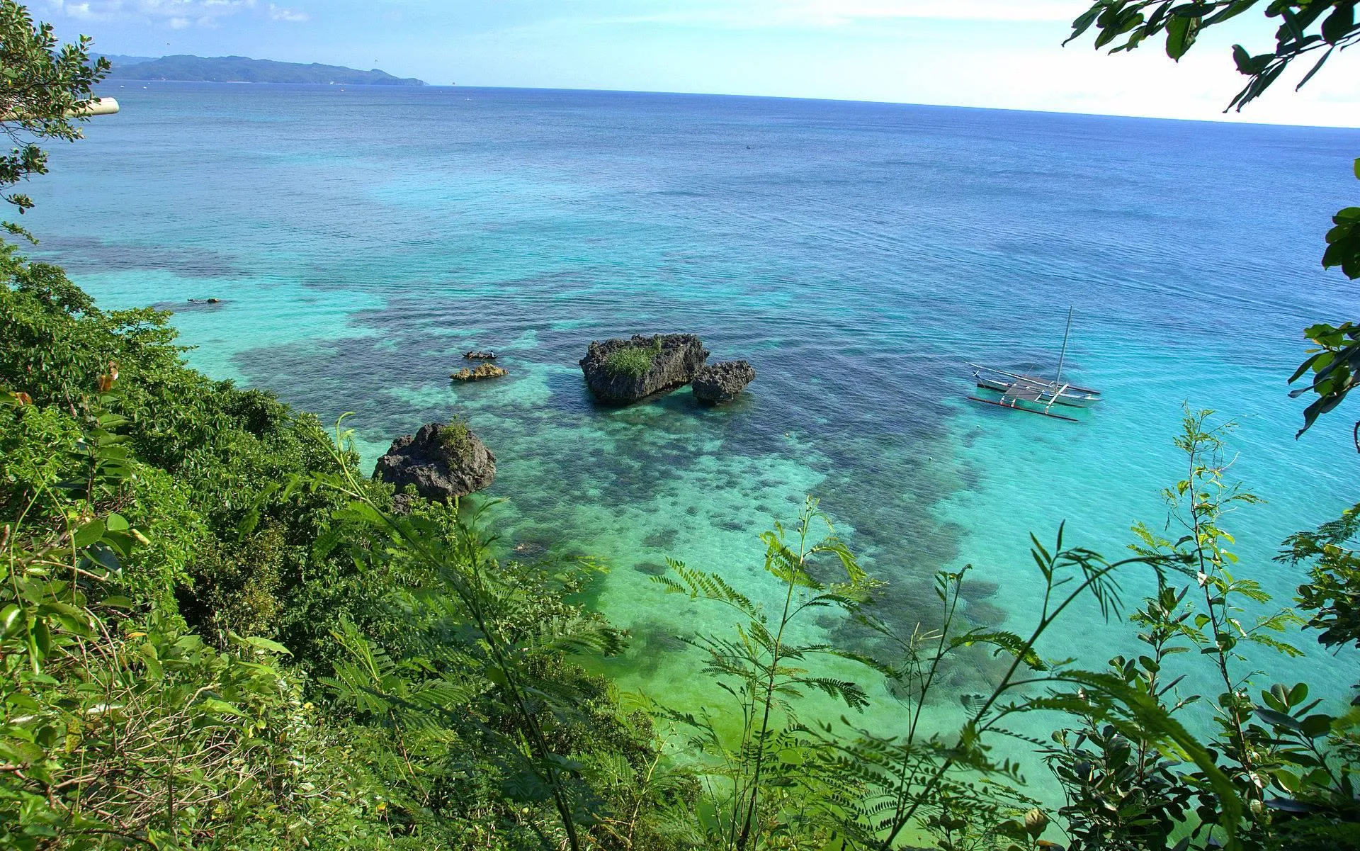 Tropical Coastline with Clear Water and Green Foliage