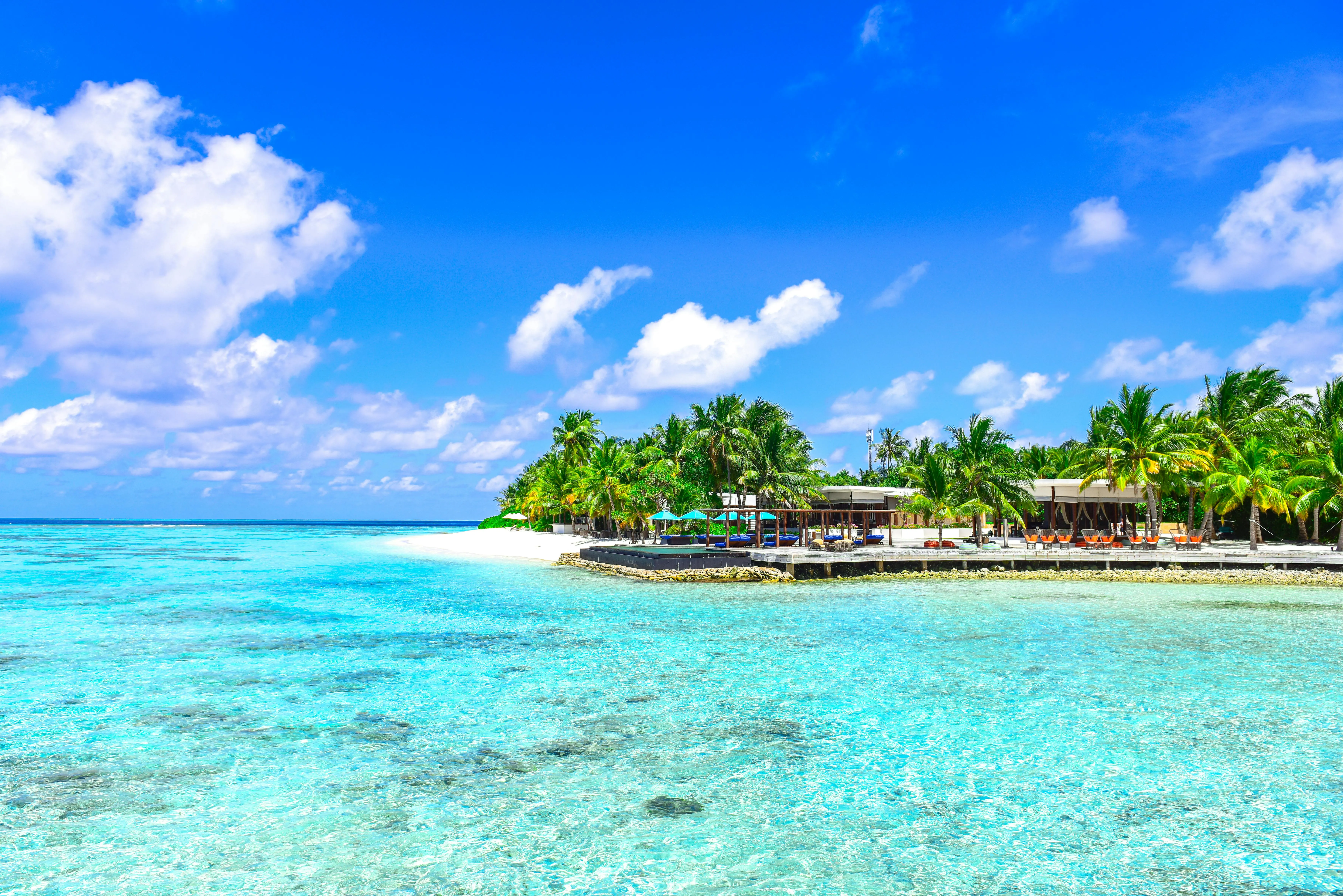 Tropical Island with Coconut Trees Surrounded by Blue Water