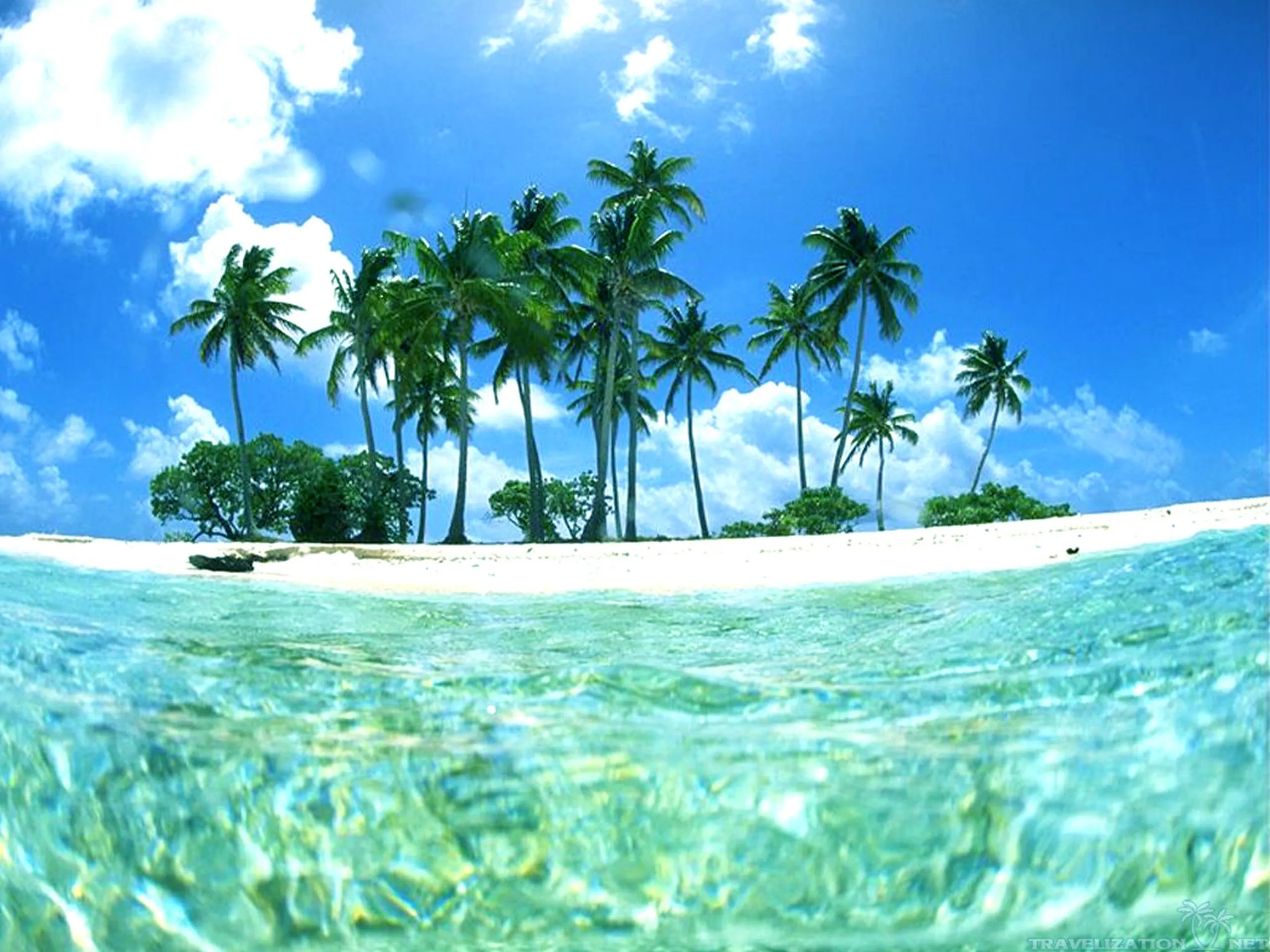 Tropical Island with Coconut Trees Surrounded by Water