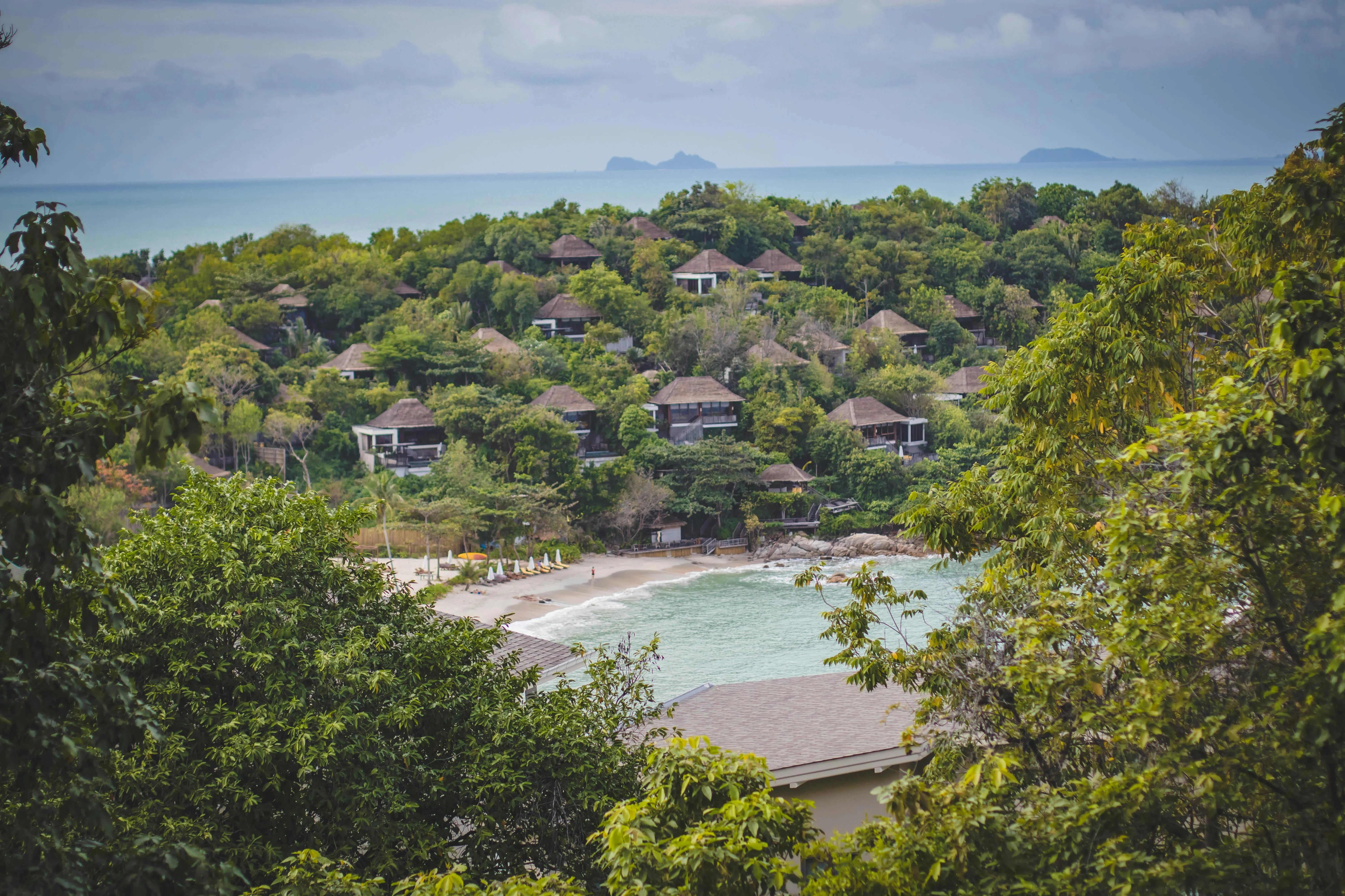 Tropical Resort with Green Trees and a Beach by Clear Water
