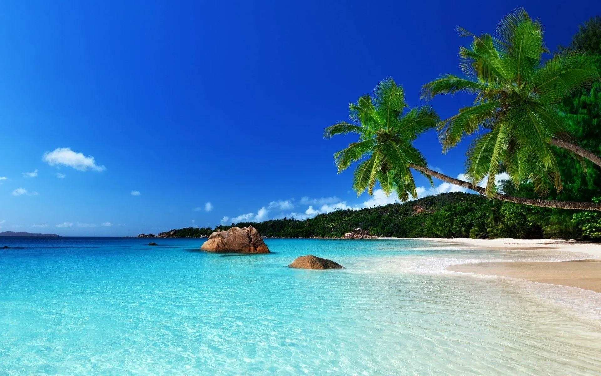 Tropical White Sand Beach with Clear Sky HD Free Wallpaper