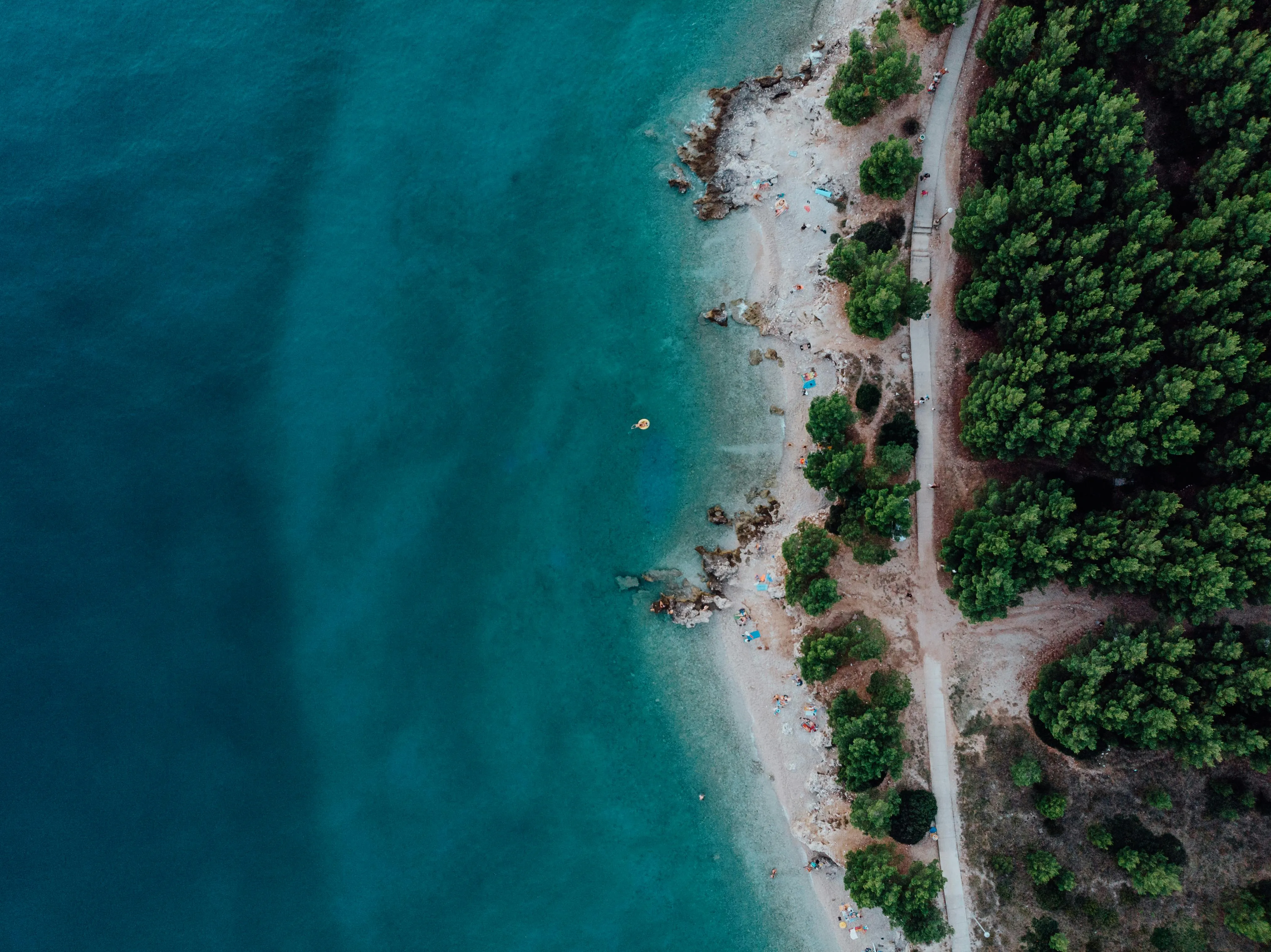 Turquoise Water and Forest Meet the Quiet Beach Edge