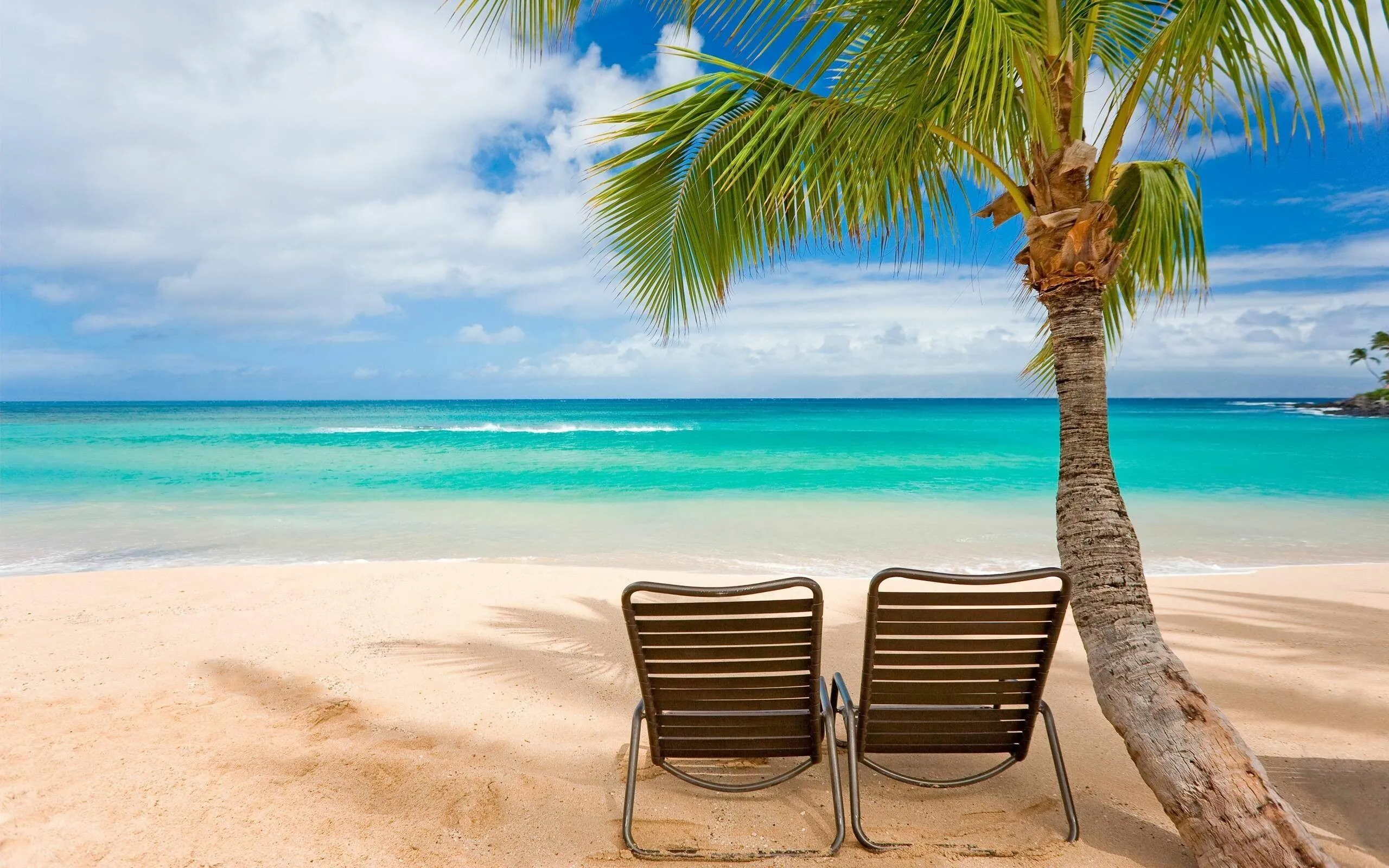 Two Beach Chairs Under a Palm Tree on a Sandy Beach