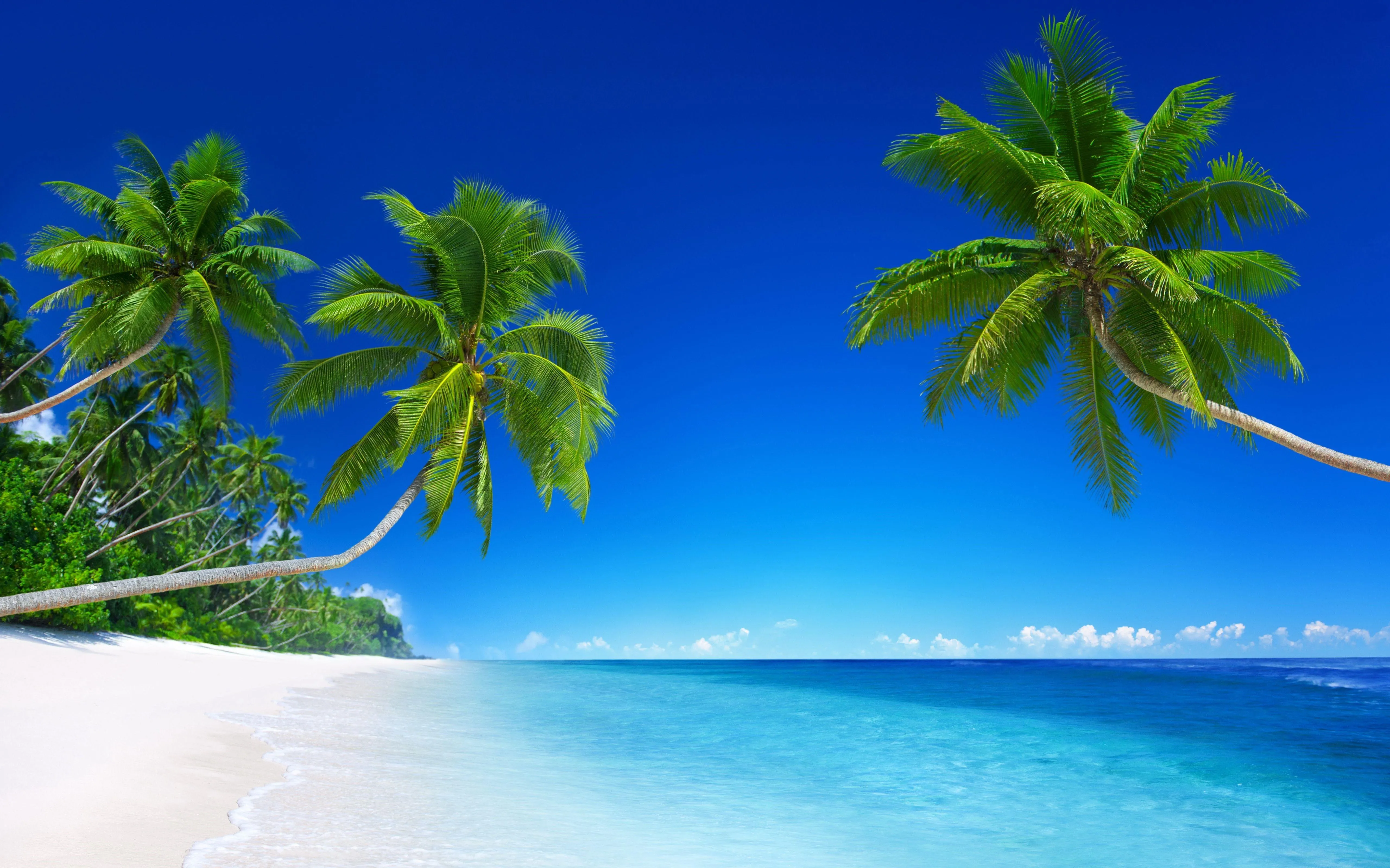 Two Vibrant Green Palms on a White Sandy Tropical Island