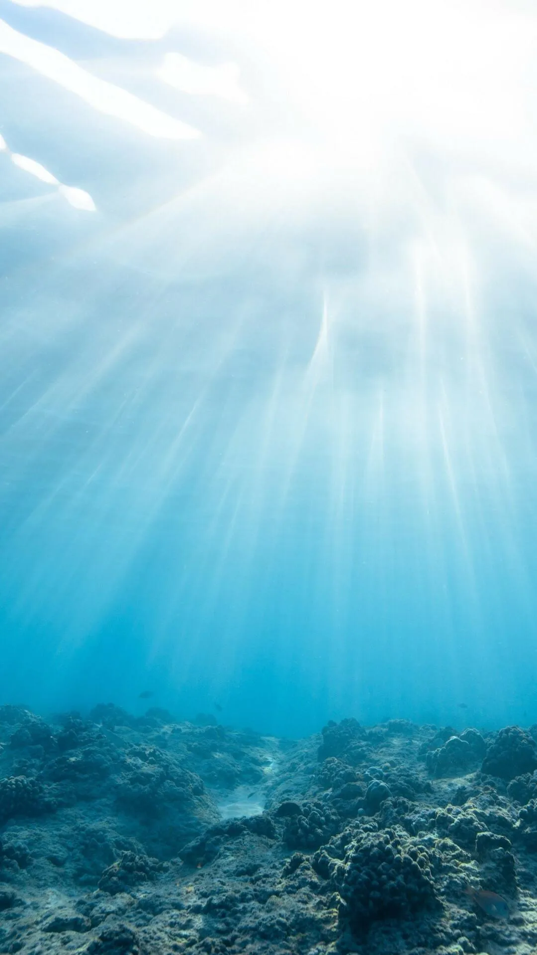 Underwater Sunlight Rays Shining Through a Clear Blue Ocean