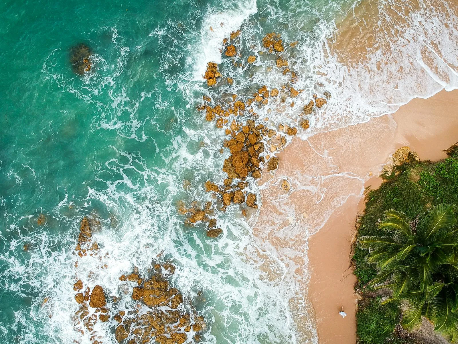 Waves Hitting the Rocky Beach with Trees and Golden Sand