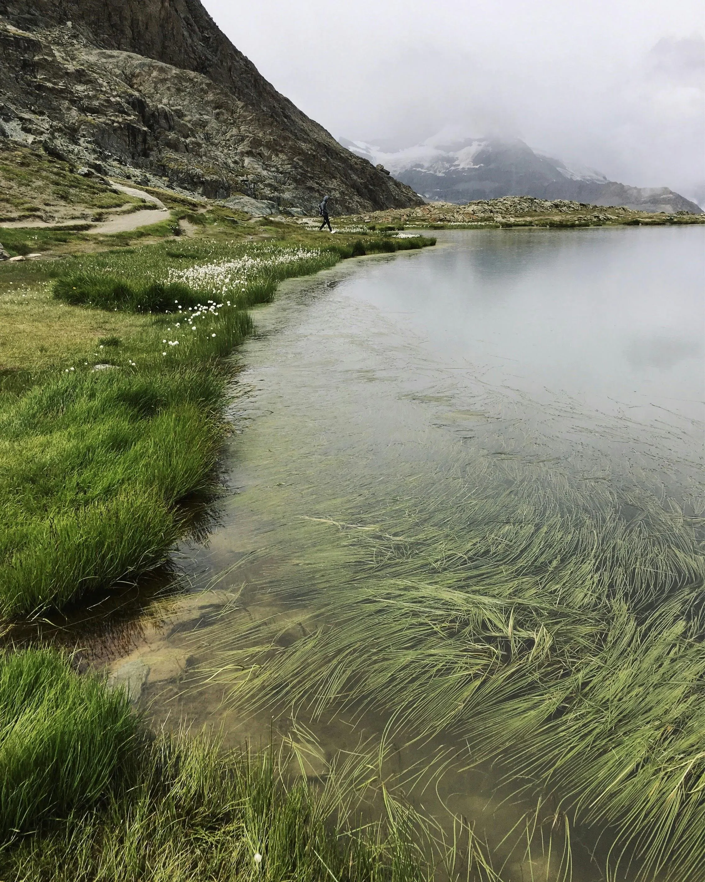 Whispers Beneath the Water