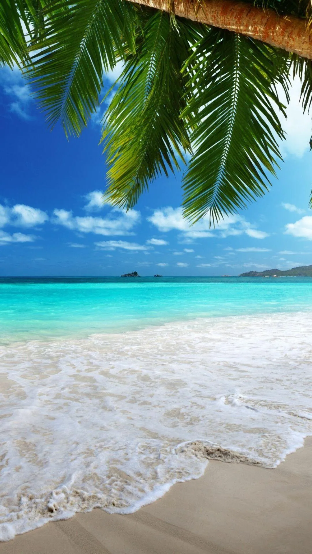 White Sandy Beach Under Palm Trees and Blue Sea Wallpaper
