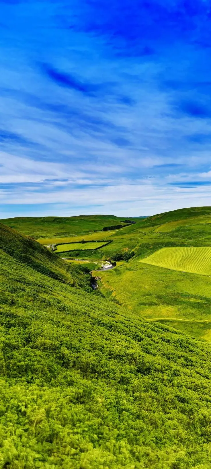 Wide Grass Plains Nature Wallpaper for Mobile HD