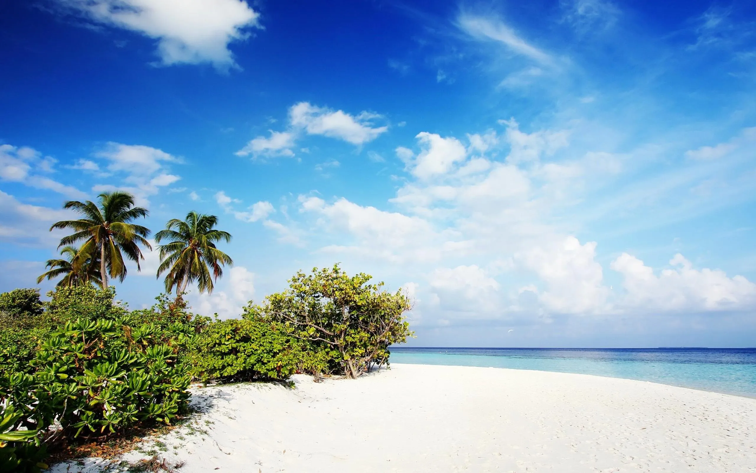 Wide Tropical Beach with White Sand and Clear Sky Wallpaper