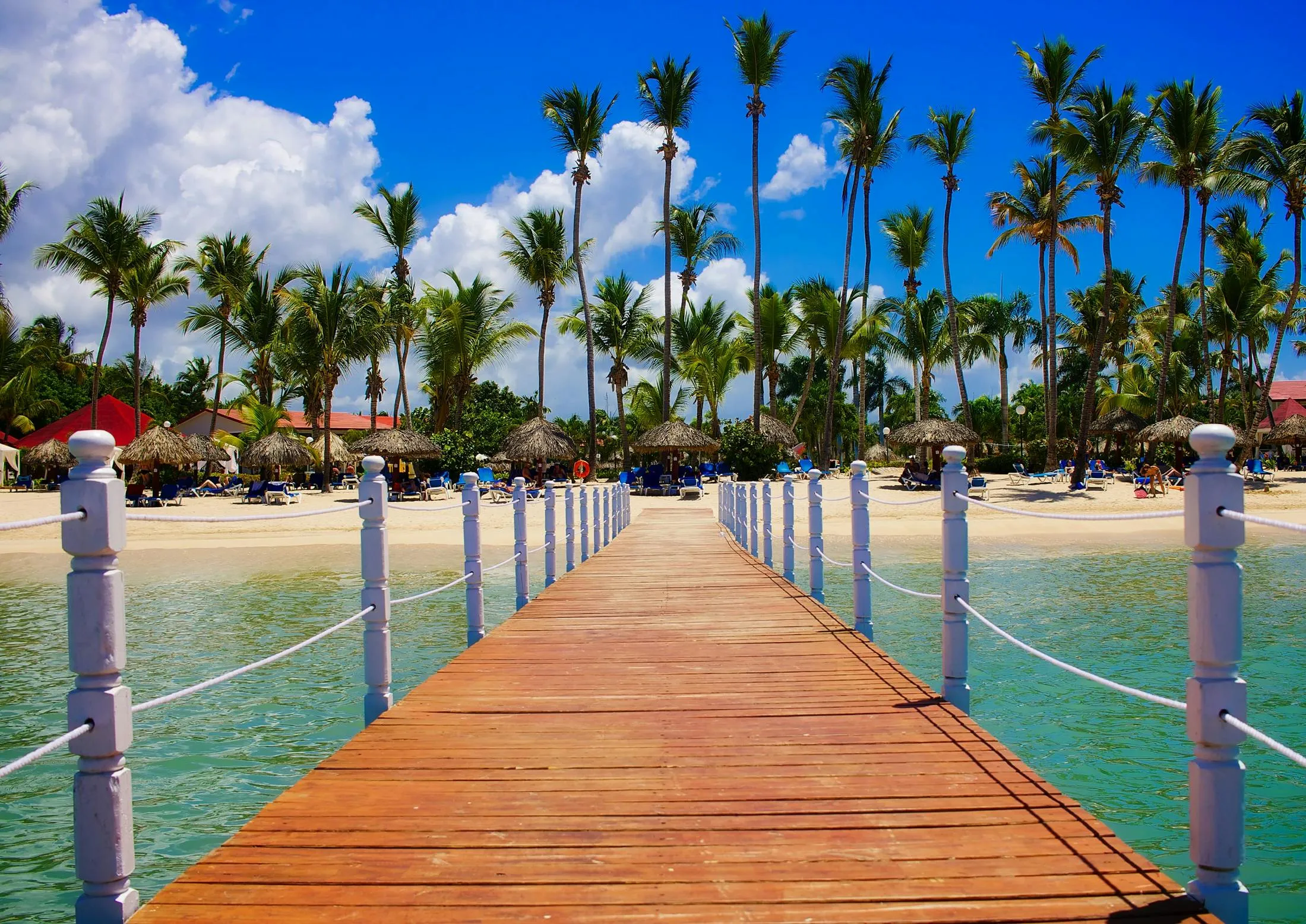 Wooden Bridge on the Beach with Palm Trees Free Wallpaper