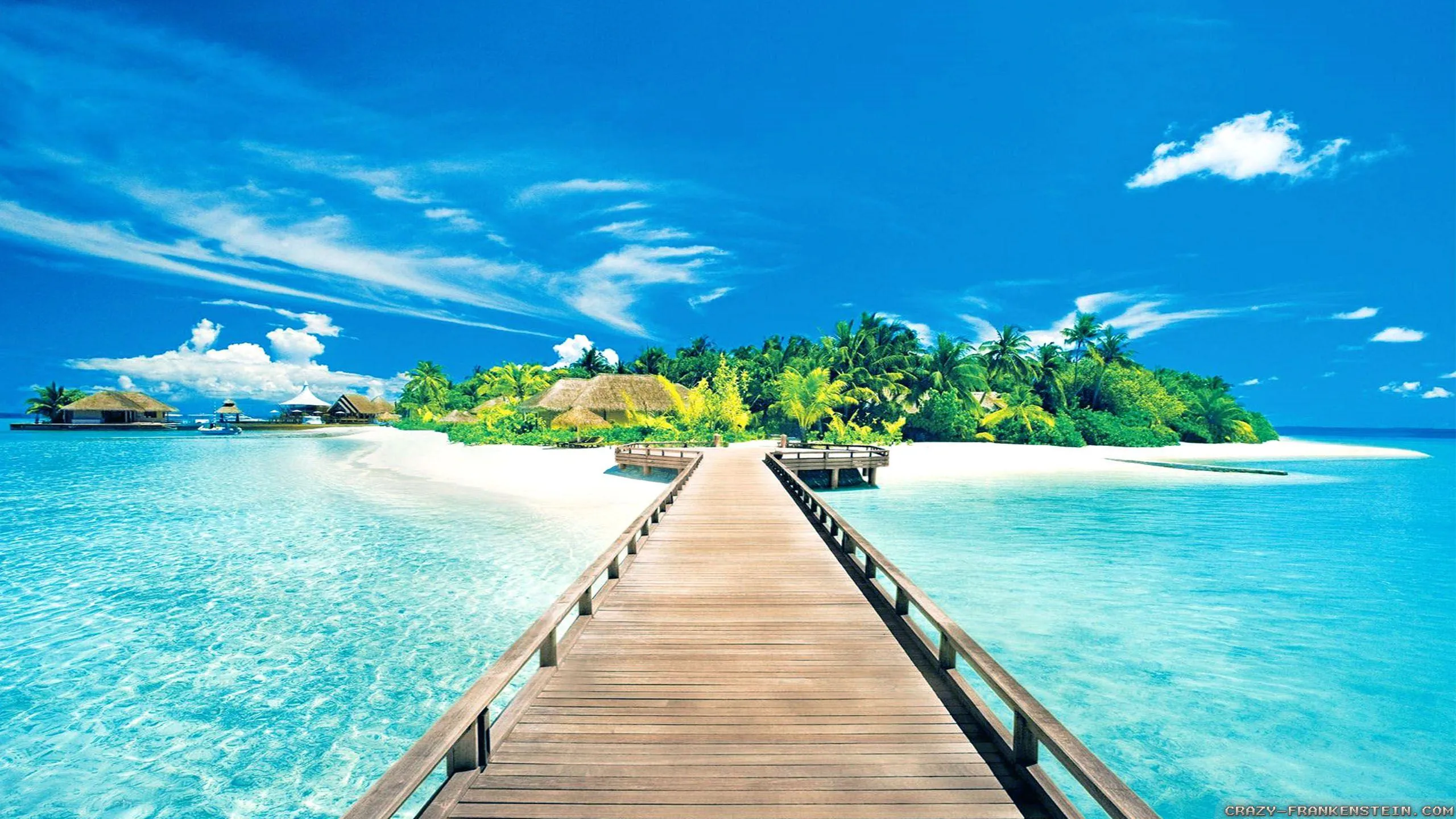 Wooden Pier Stretching into Clear Blue Seawater Wallpaper