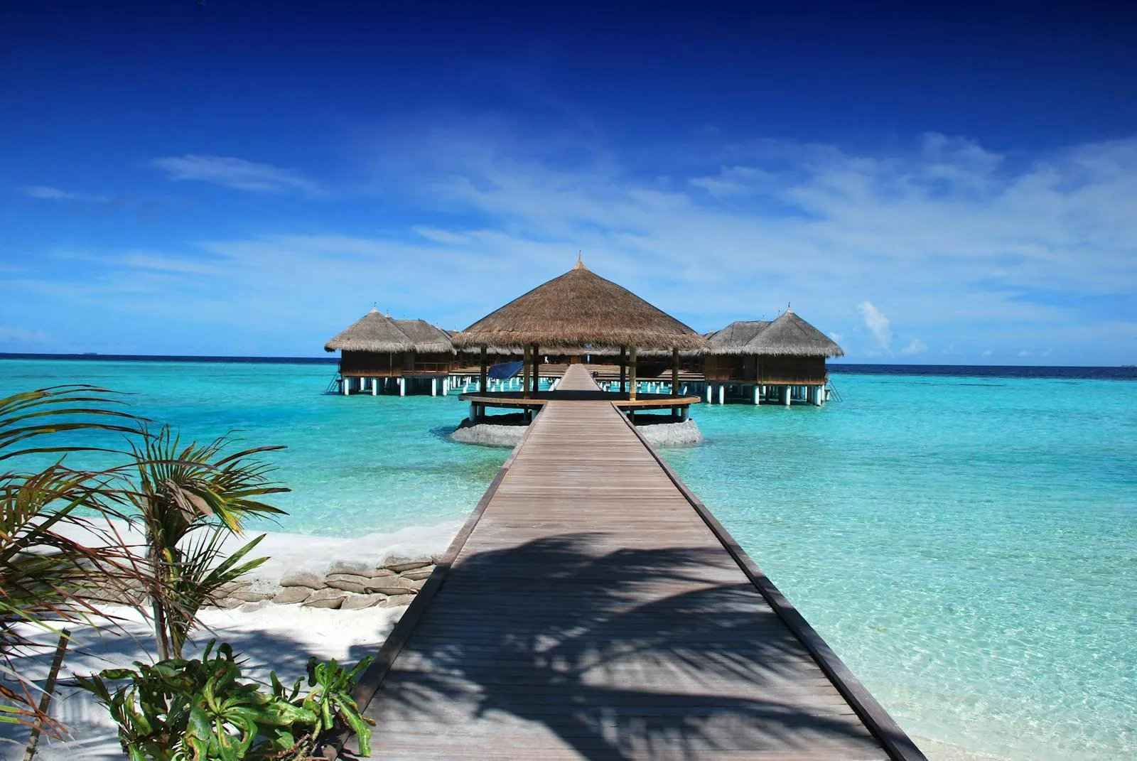 Wooden Platform Stretching over Calm Turquoise Ocean Water