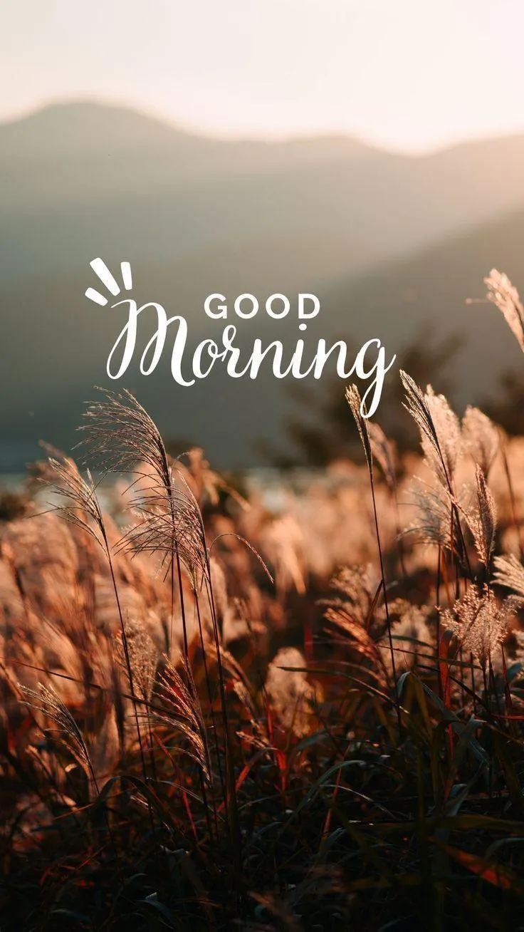 A New Morning to Begin Again with Courage Wallpaper