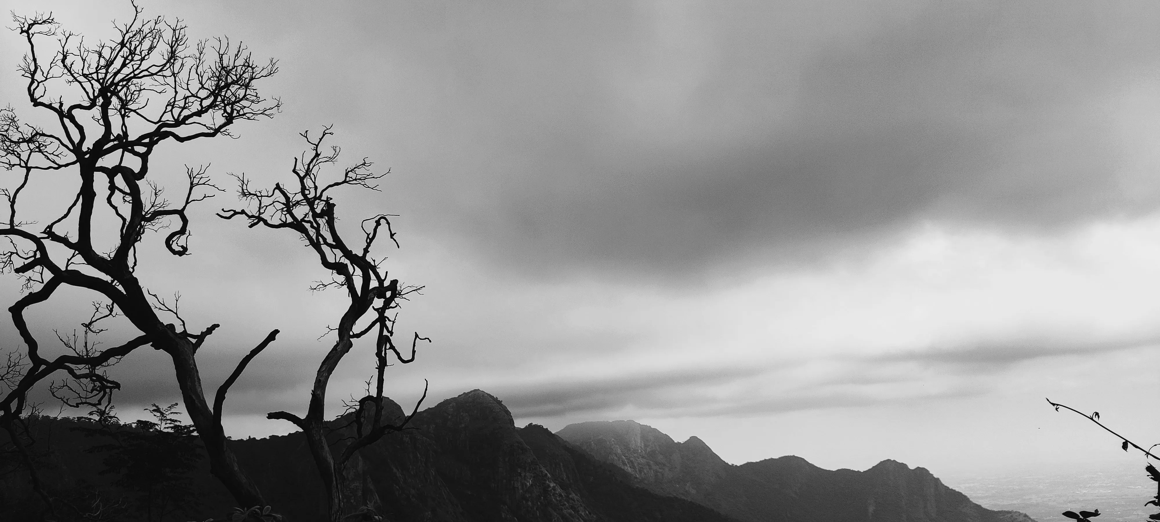 Artistic Silhouette Showing Emotional Connection Wallpaper