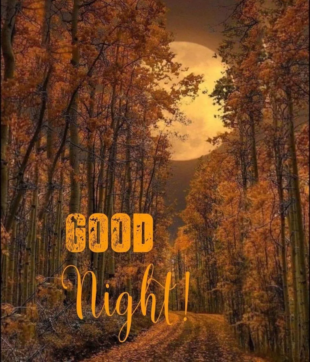 Autumn Forest Trail Saying Wishing You Good Morning