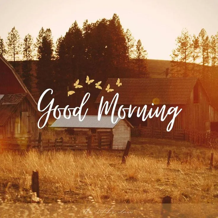 Autumn Leaves Fall with Warm Wishes for Your Morning