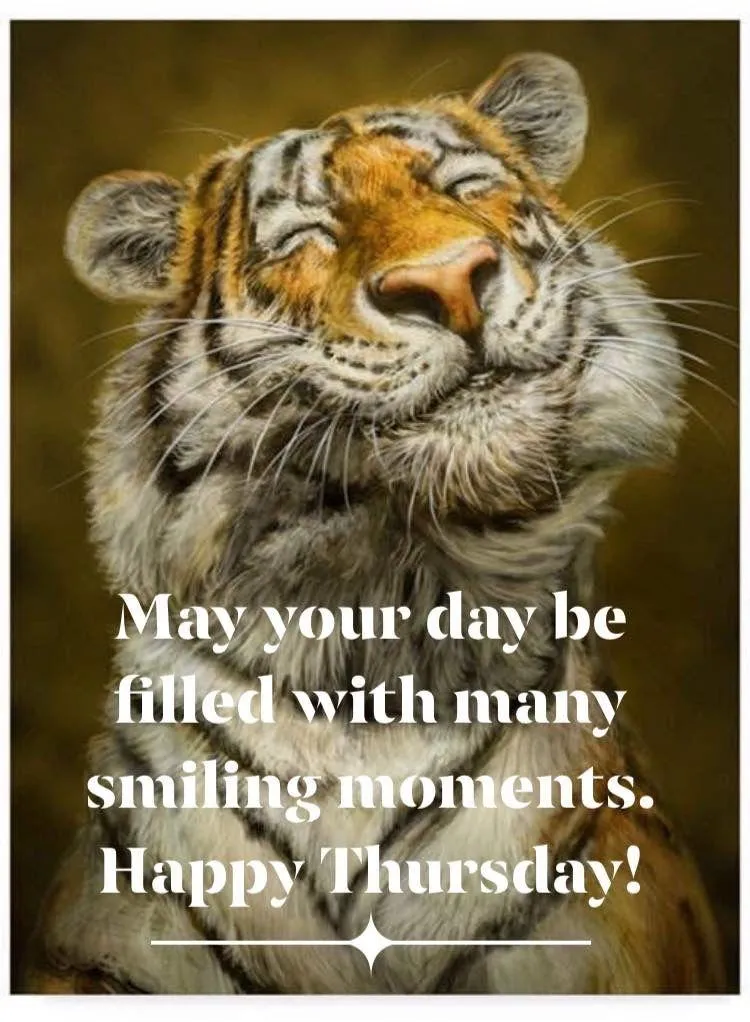 Be Strong and Fearless as You Begin this Day Free Image