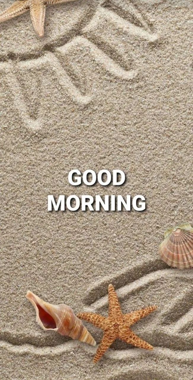 Beach Morning Vibes with Sand and Shells for Peace