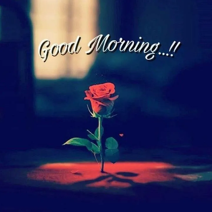 Beautiful Sunrise Blessing for a Peaceful and Bright Day