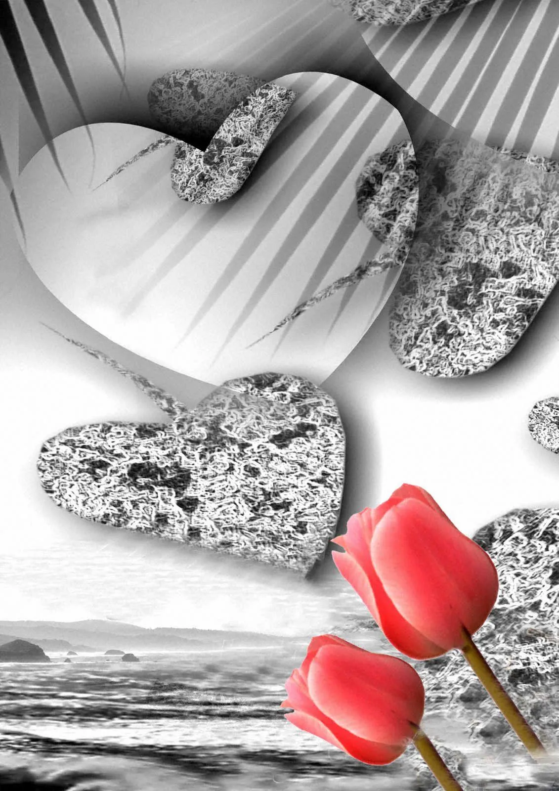 Black and White Hands Holding Red Heart Love Wallpaper