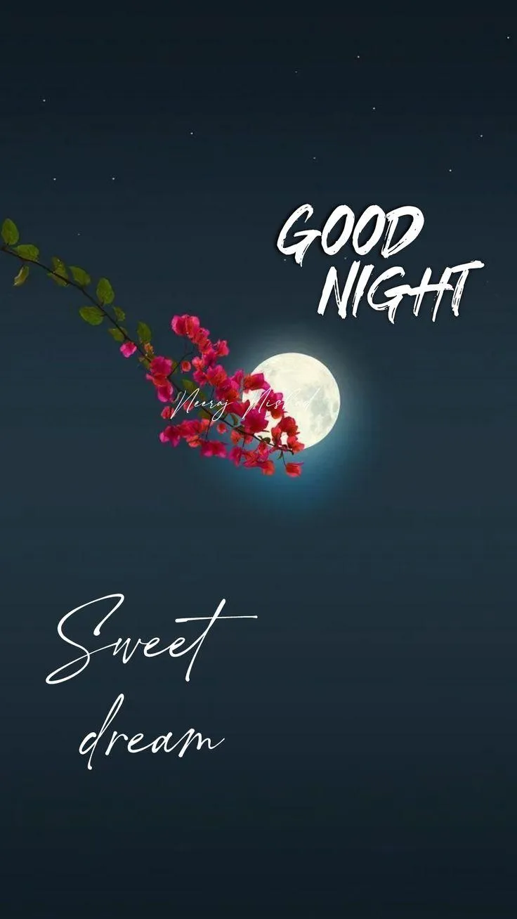 Black Background with Red Flower and Good Night Wish