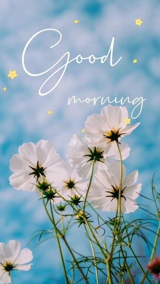 Blue Blossoms and Sky Background with Morning Text