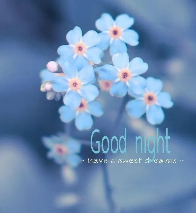 Blue Blossoms Blooming for a Fresh Start this Morning