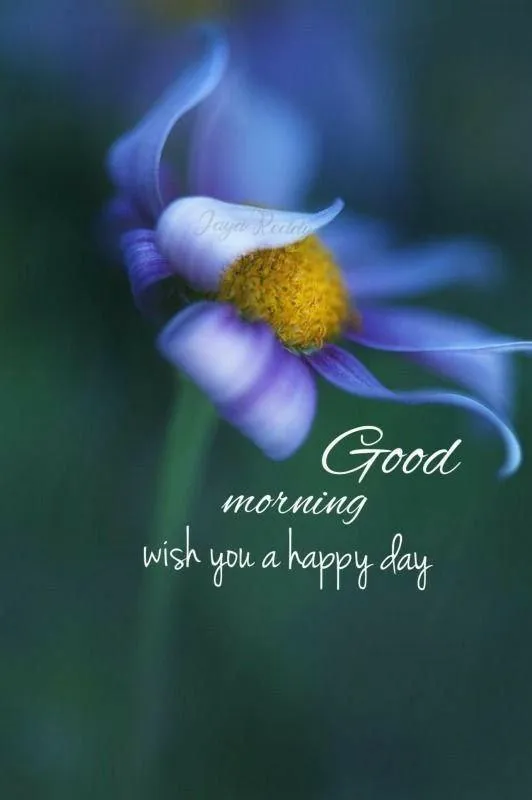 Blue Flower on Black Background with Good Morning Text